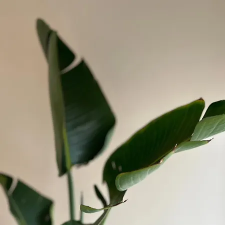 Costa Sun Appartamento *